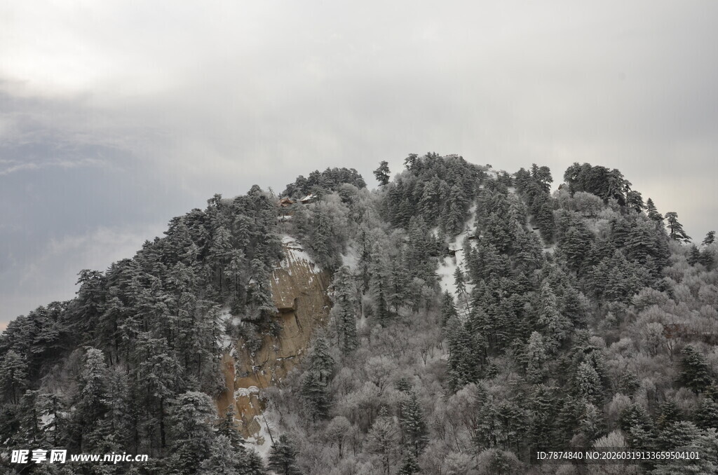 雪覆山林山顶壮丽景观
