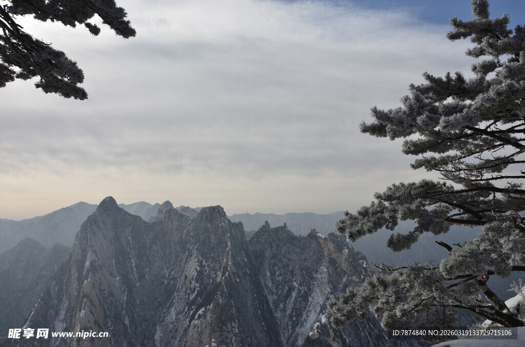 黄山奇峰与松景