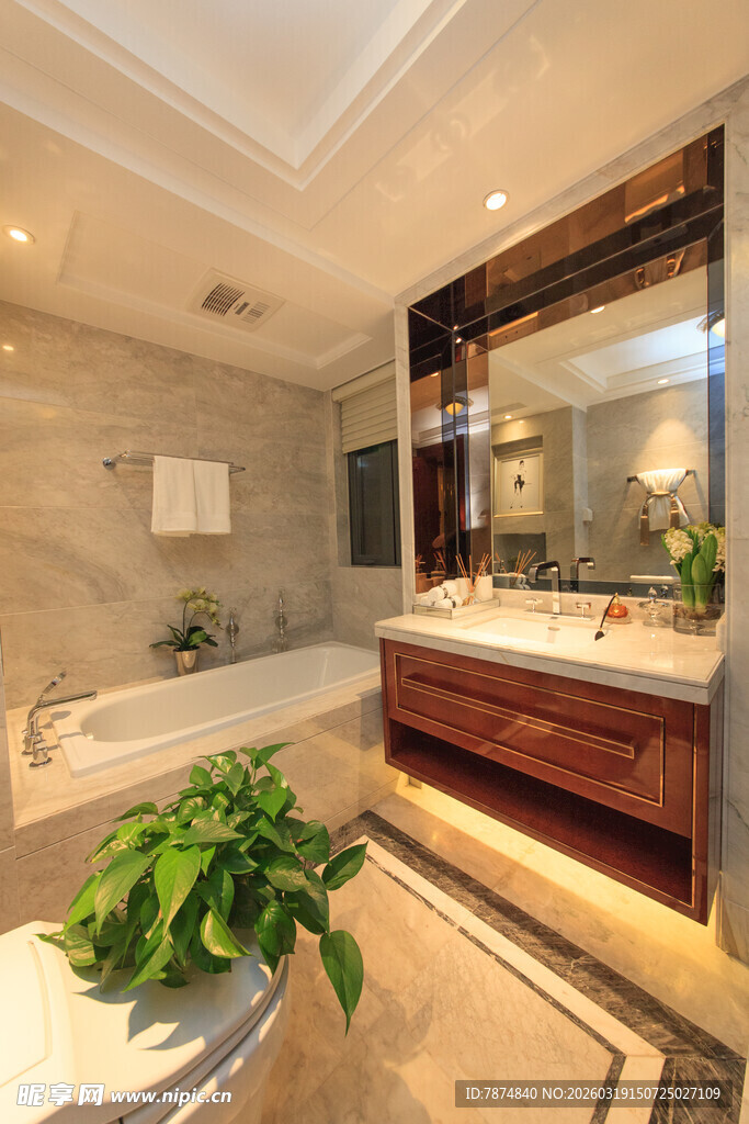 豪华浴室室内优雅设计