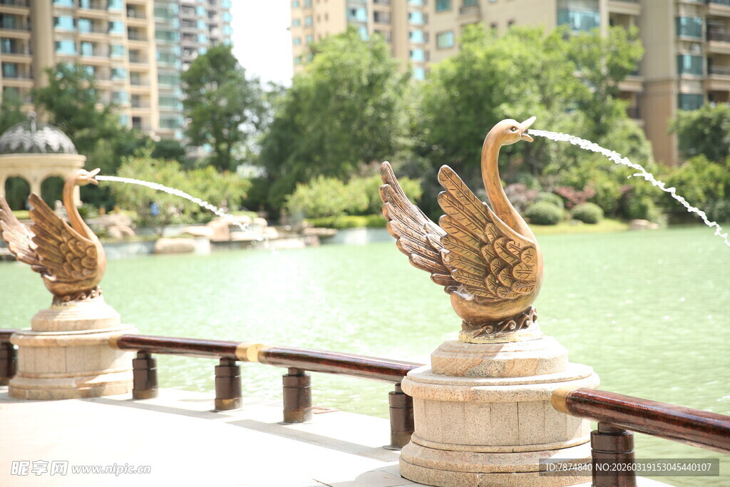 湖畔华丽天鹅喷泉景观