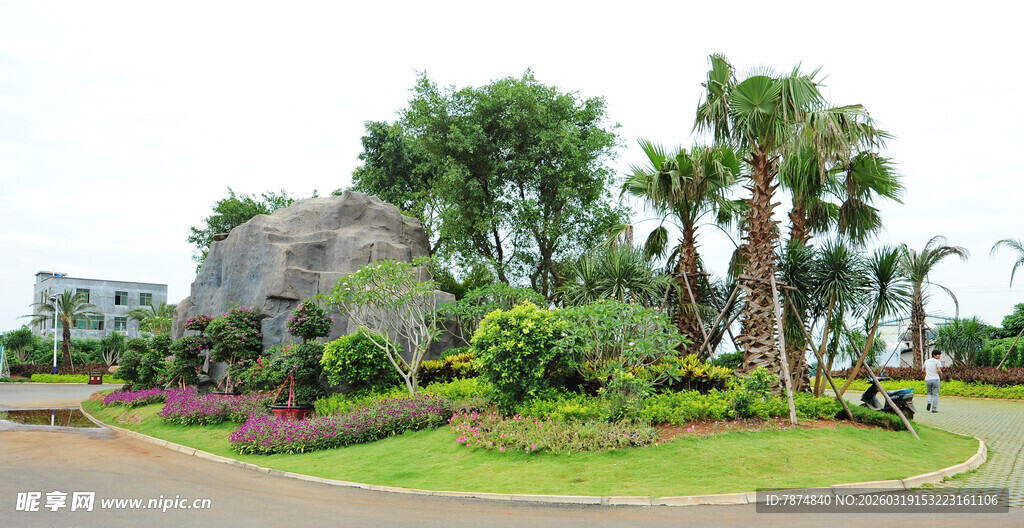 城市道路旁的美丽绿植景观