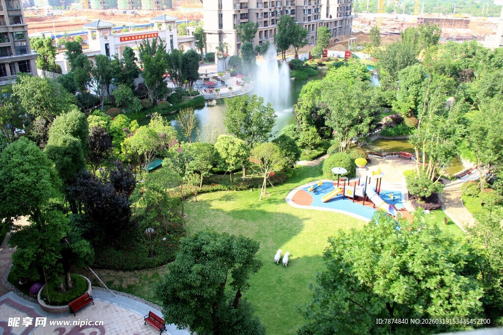 俯瞰绿意盎然的城市公园