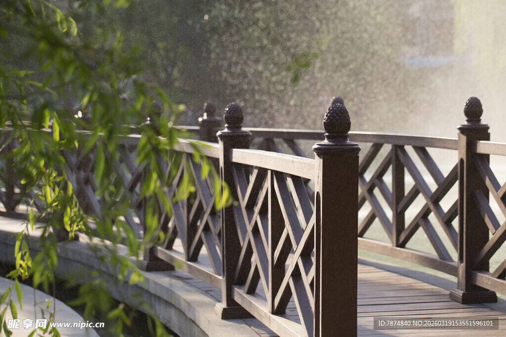 林间木桥 静谧自然景致