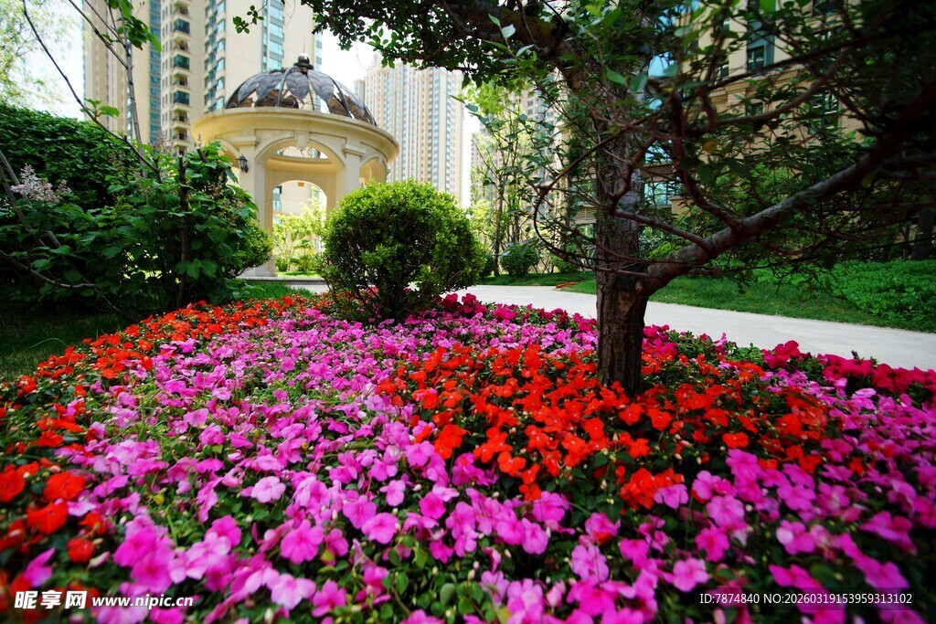 繁花环绕的树下景致