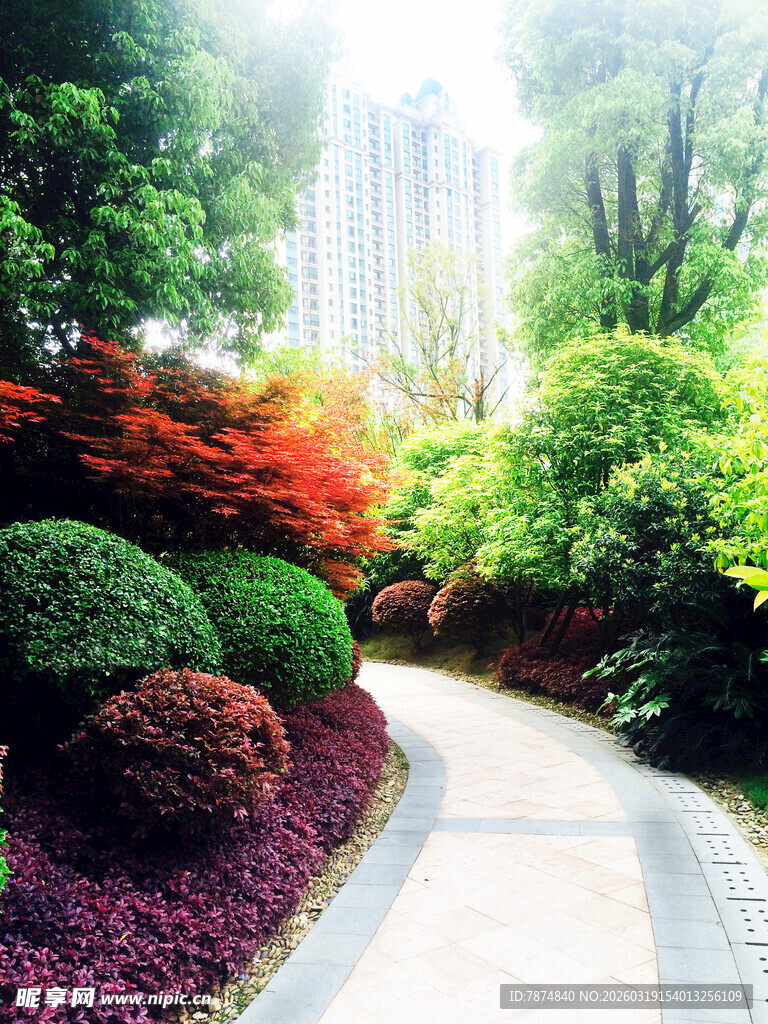 城市中的多彩园林小径