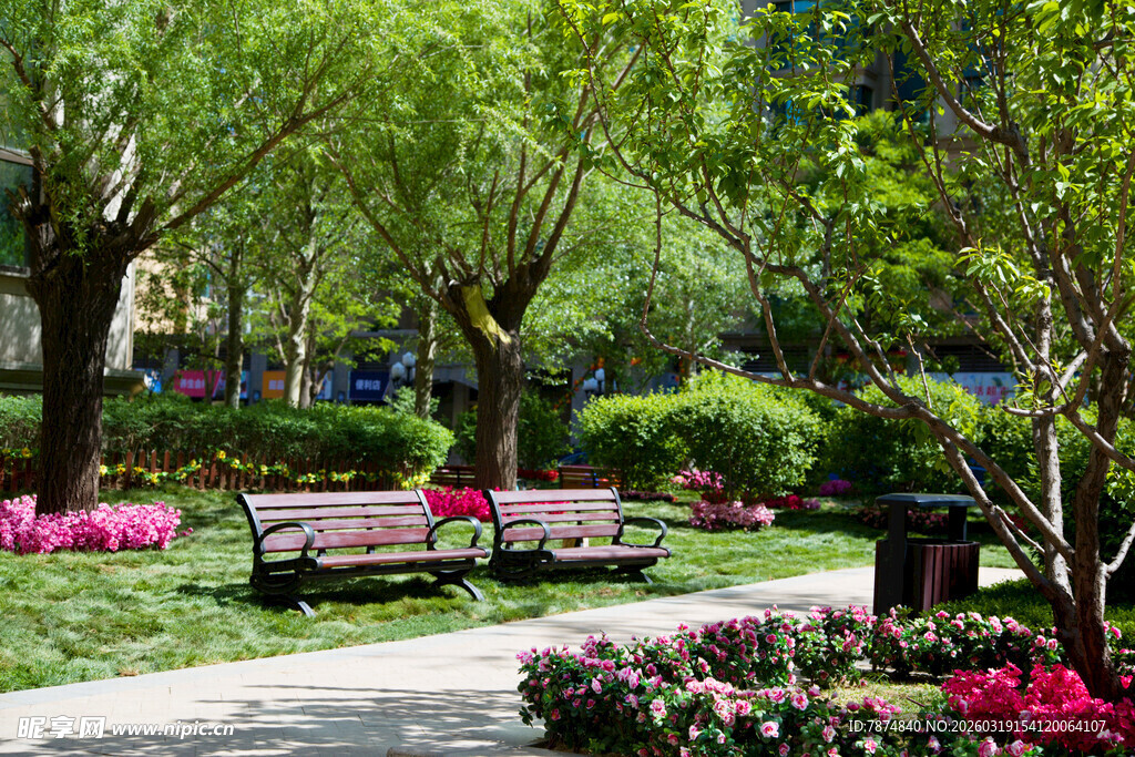 公园绿荫下的休闲长椅