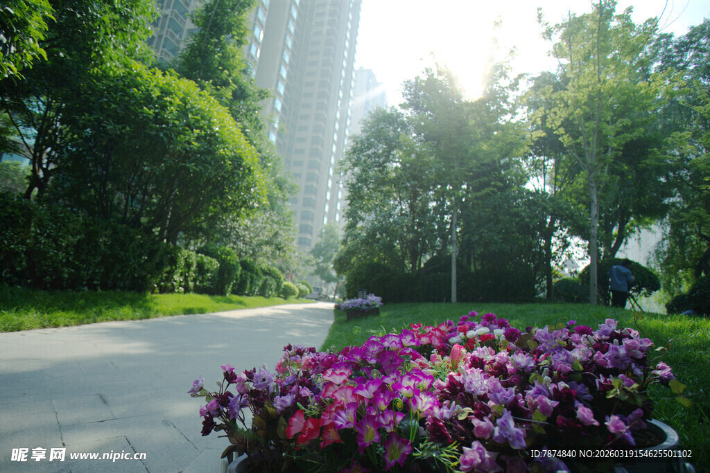 城市中繁花与绿树相映景