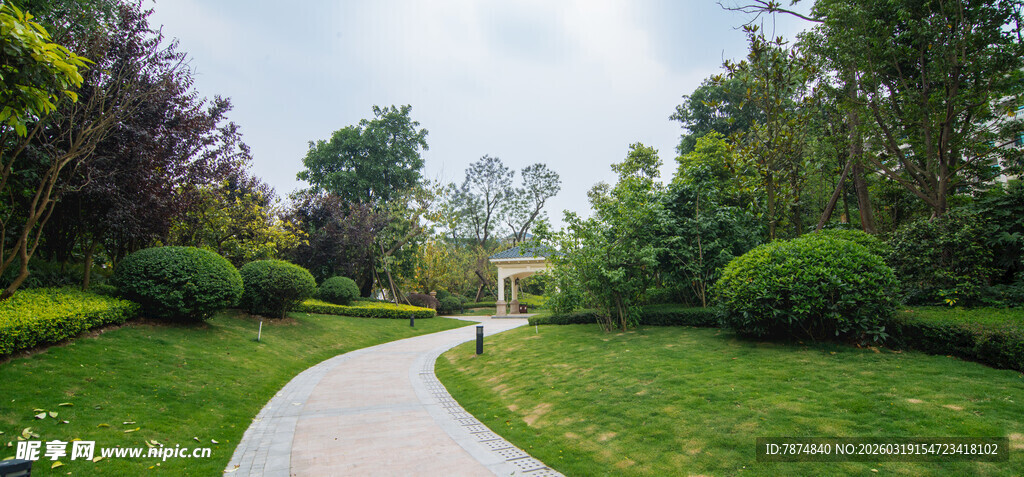 林间蜿蜒小径 绿意盎然