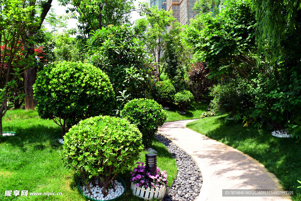 美丽花园小径景观