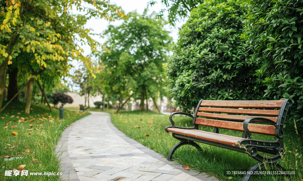 公园小径旁的休闲长椅