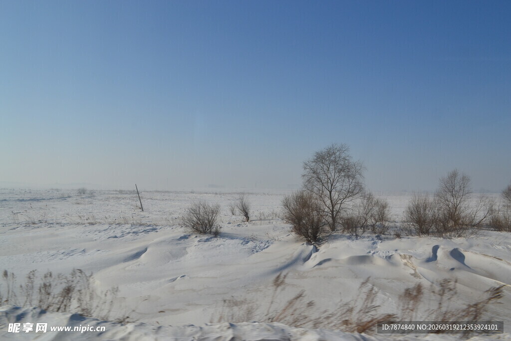 冬日雪野风光
