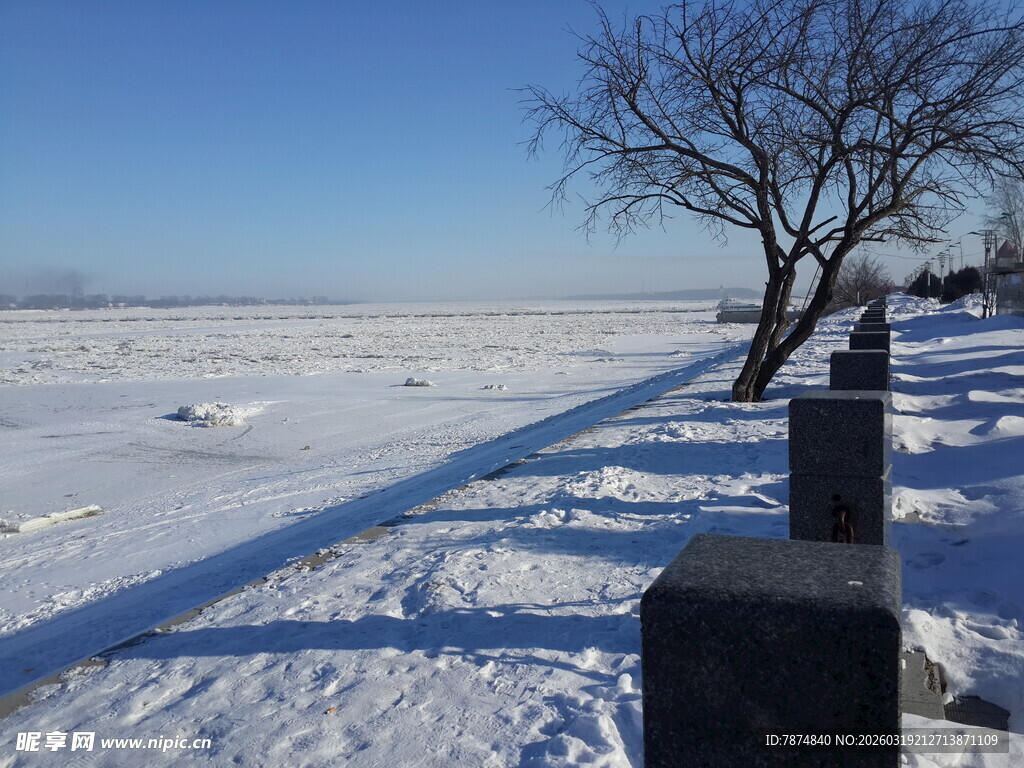 冬日雪地旁的枯树与围栏