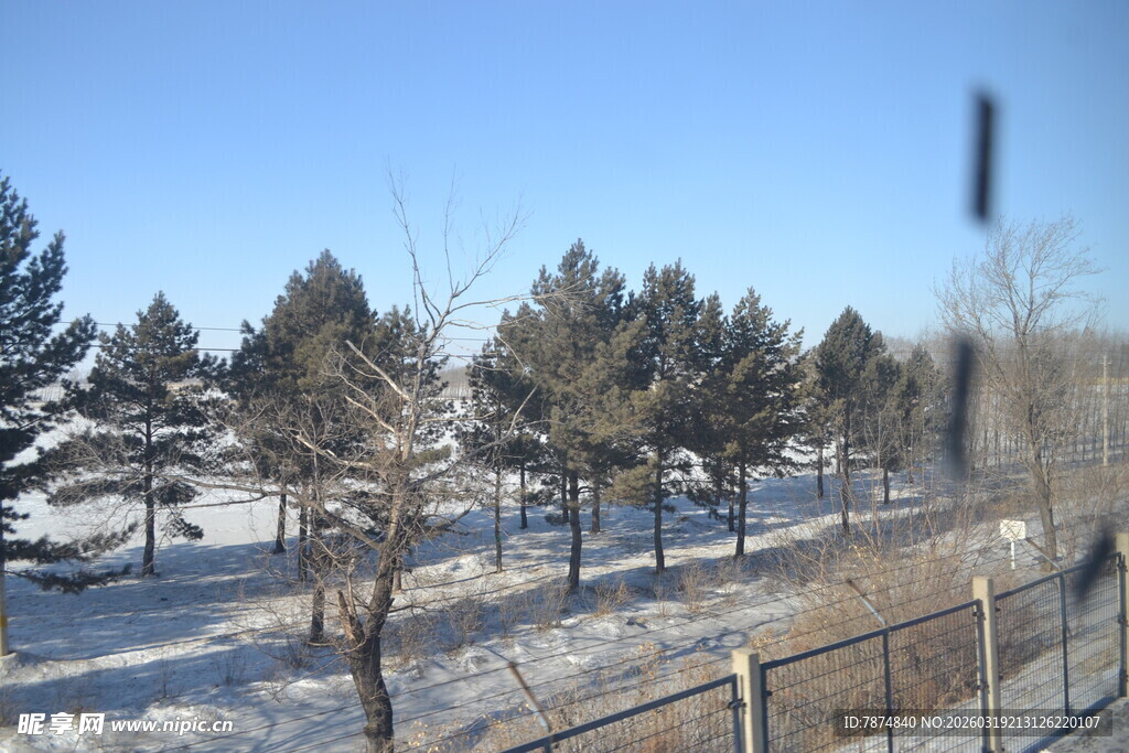 冬日雪景中的树林与围栏