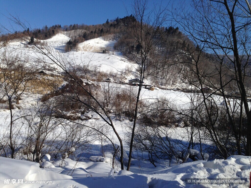 冬日雪覆山林美景