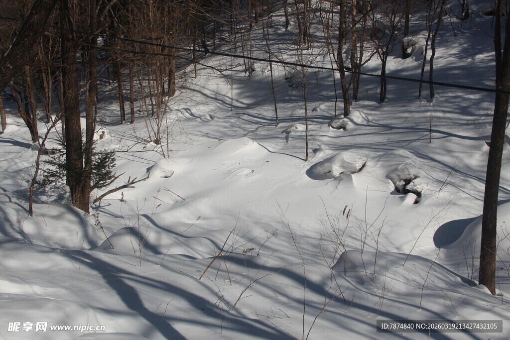 雪地林间滑雪者的动感瞬间