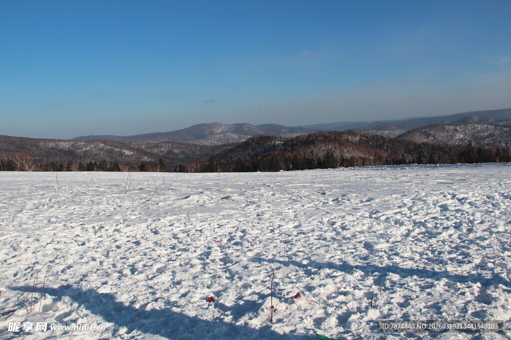 冬日雪野风光