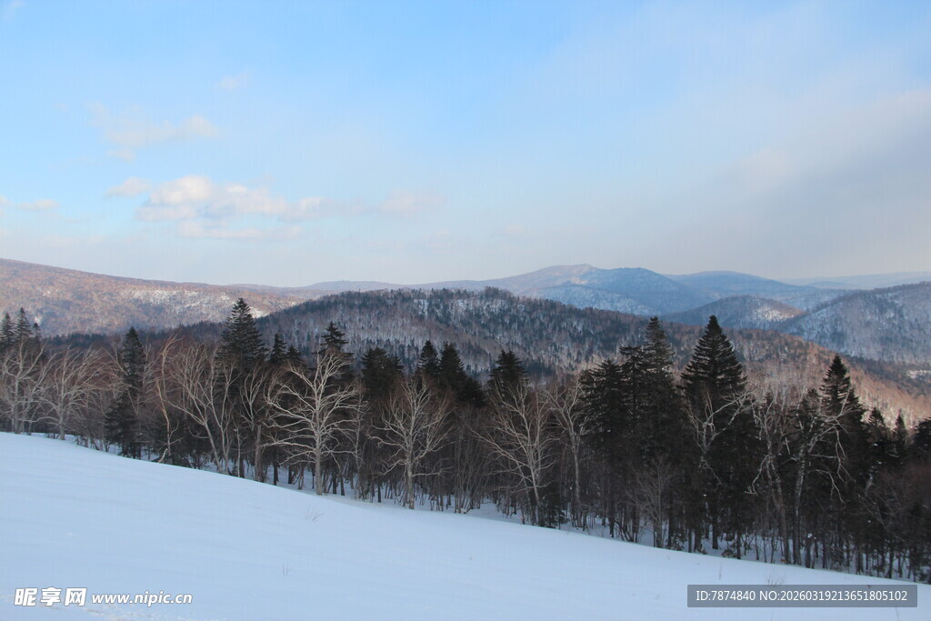冬日雪林与远山美景