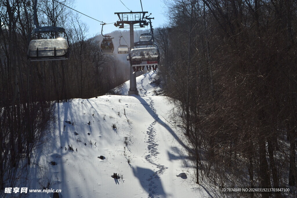 雪场缆车穿梭于山林间