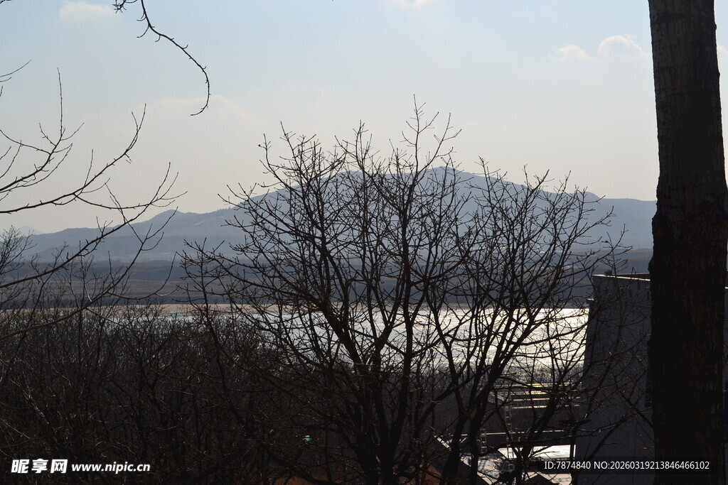 冬日山景与枯树景观