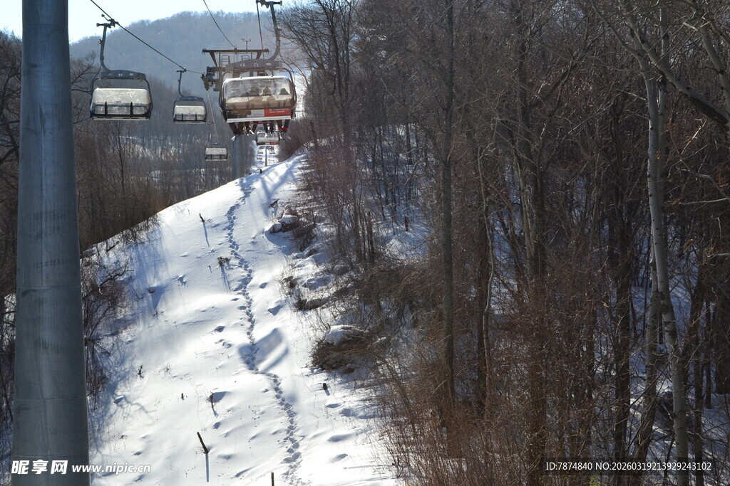 冬日雪覆小径 山林景致