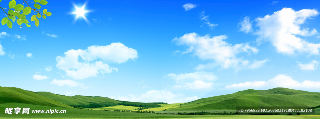 蓝天白云下的绿色原野