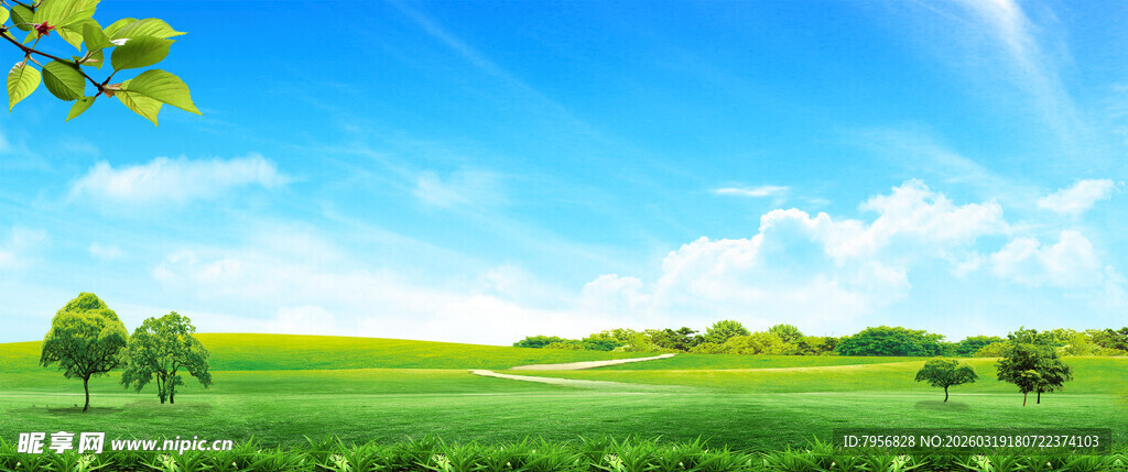 蓝天  白云  草地   小草