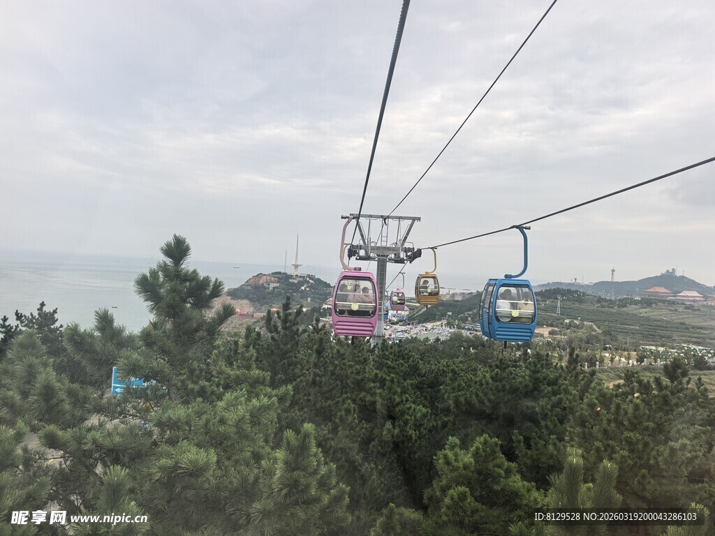 山间缆车穿梭于绿树之上