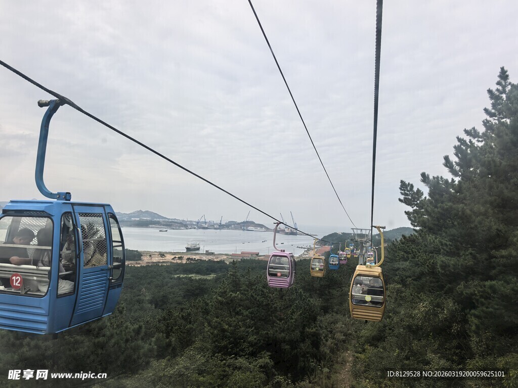 山间缆车穿梭于绿树间