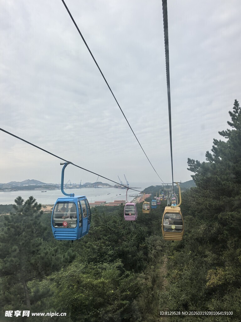 空中缆车穿梭于绿树间