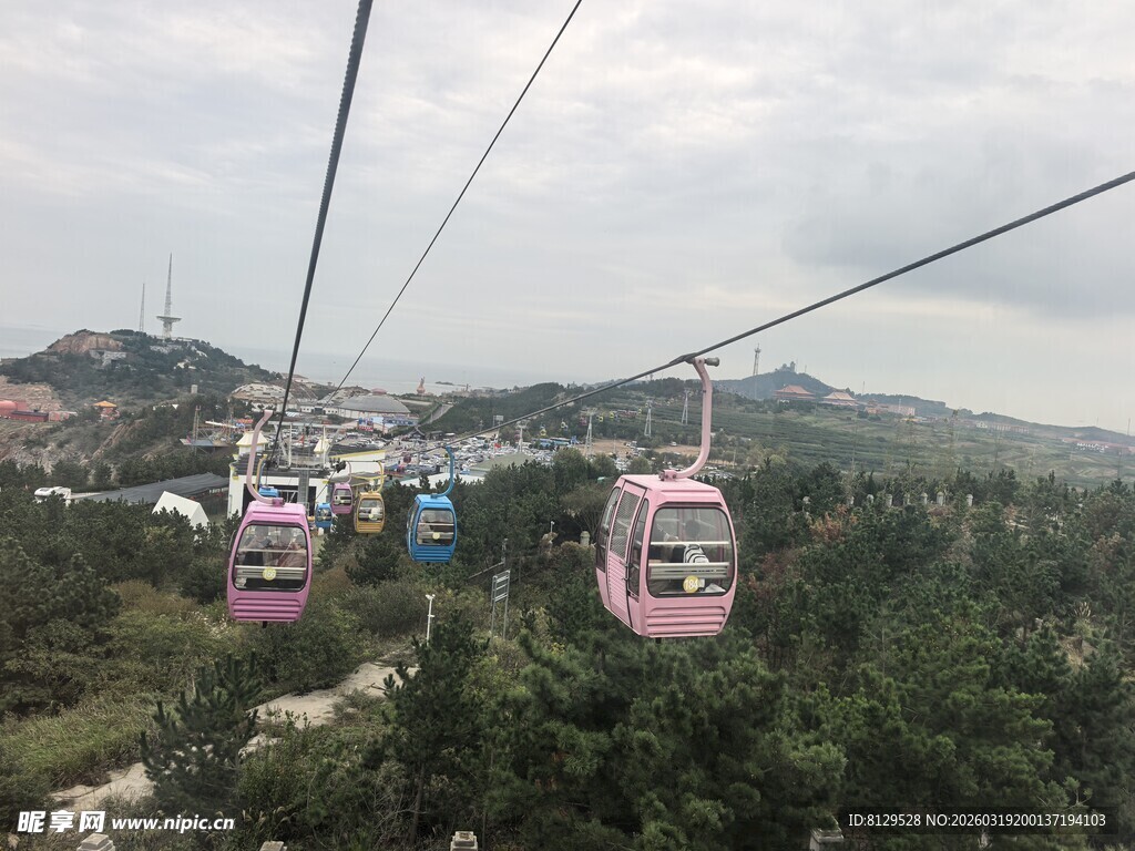 山间缆车穿梭于绿树间