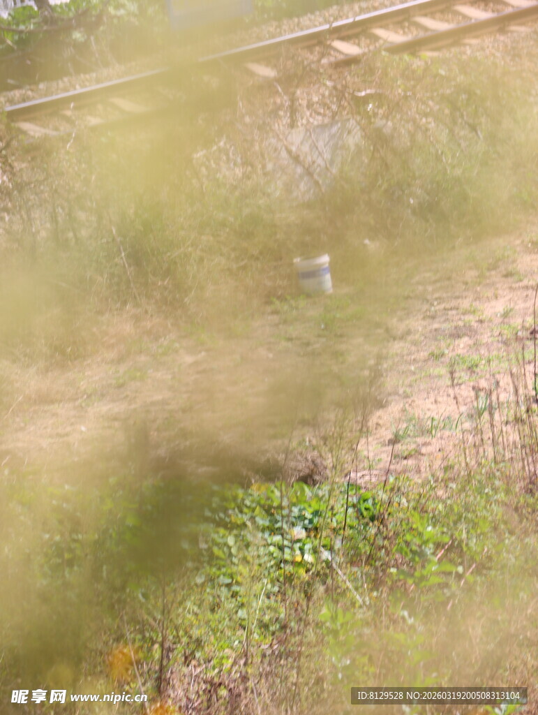 铁轨旁的自然景致