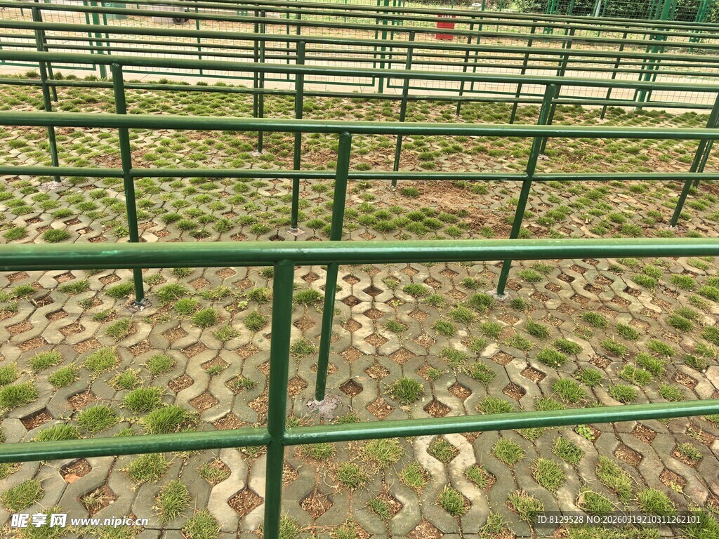 绿色金属围栏田野背景