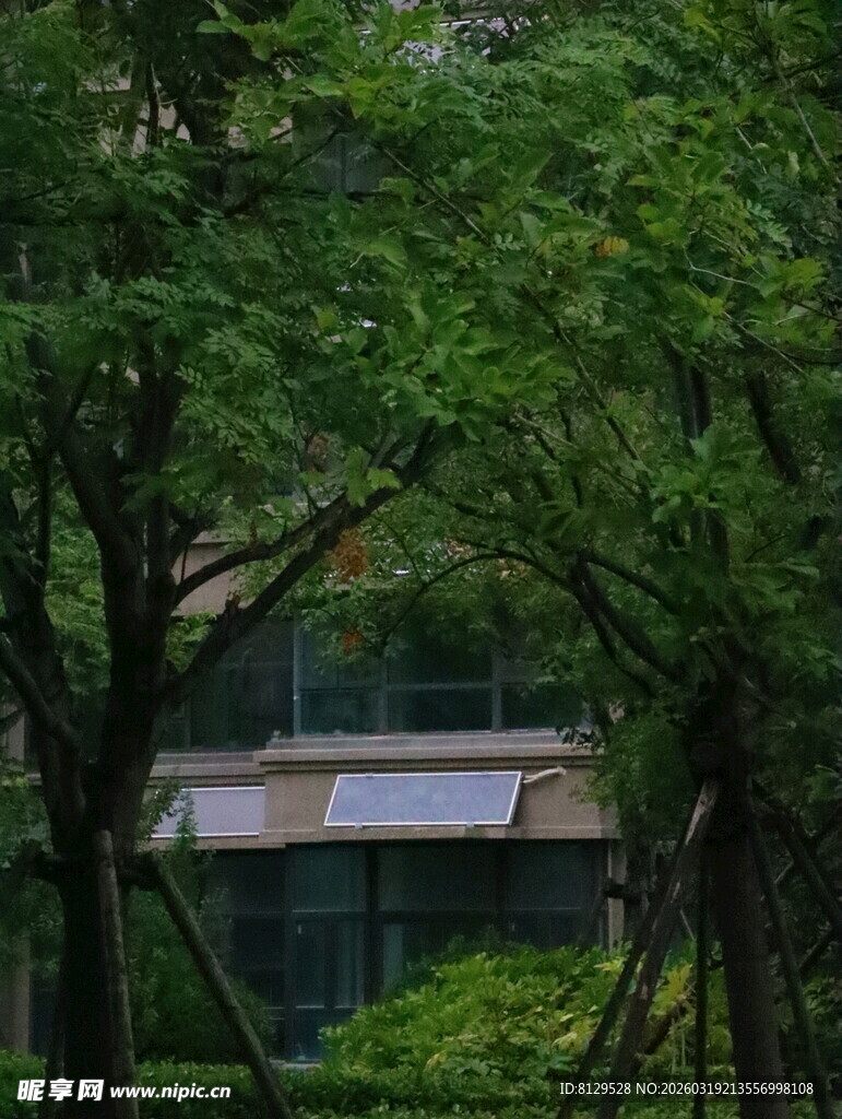 绿树环绕中的建筑一角