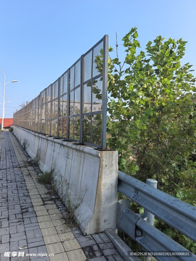 公路旁的防护围栏与绿植