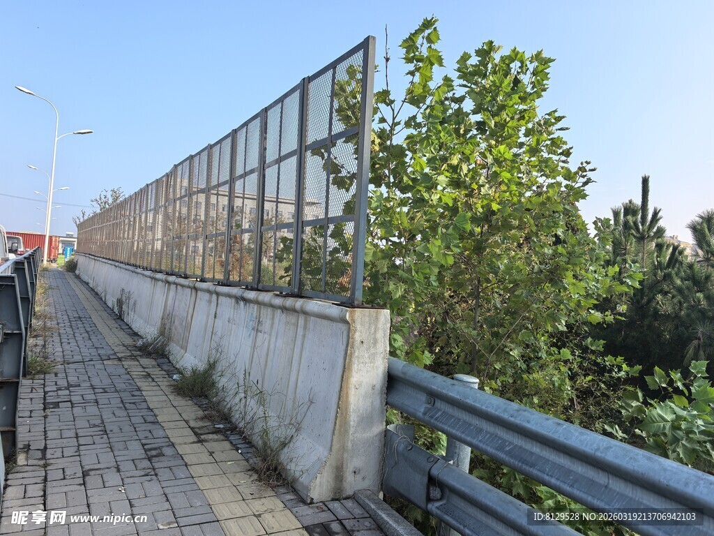 公路旁的防护网与绿植