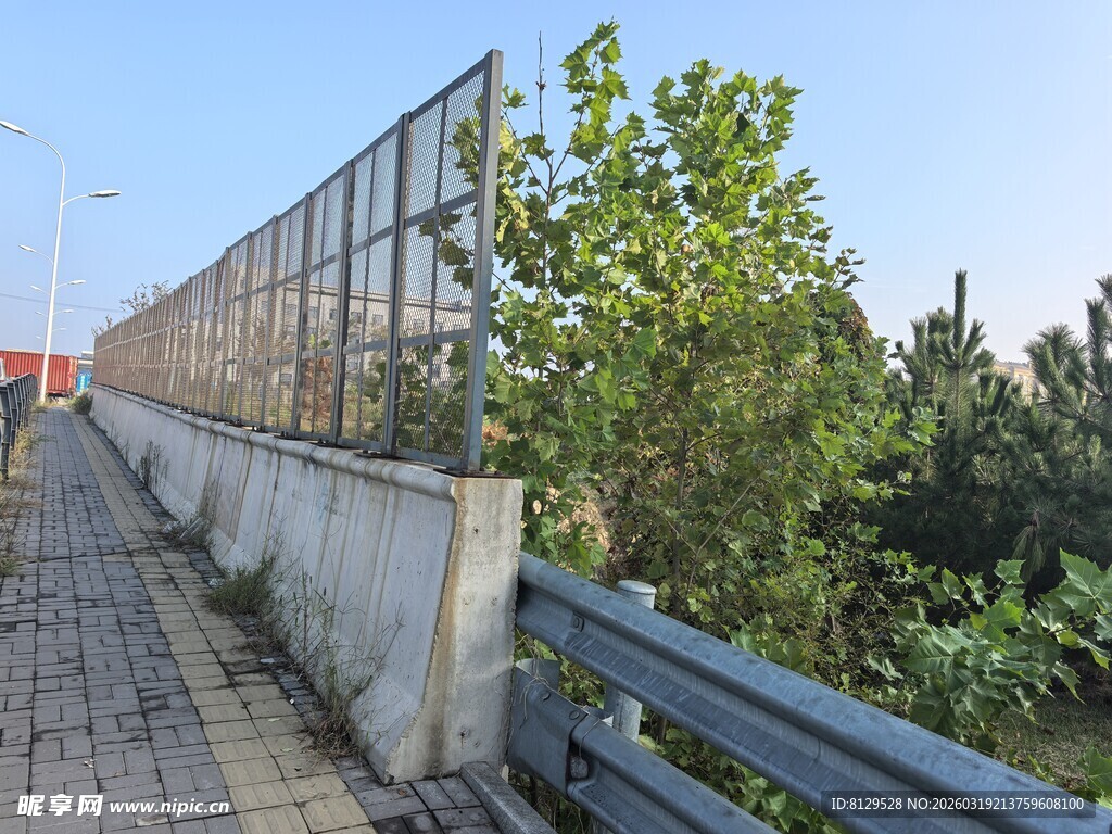 路边绿植旁的金属防护网