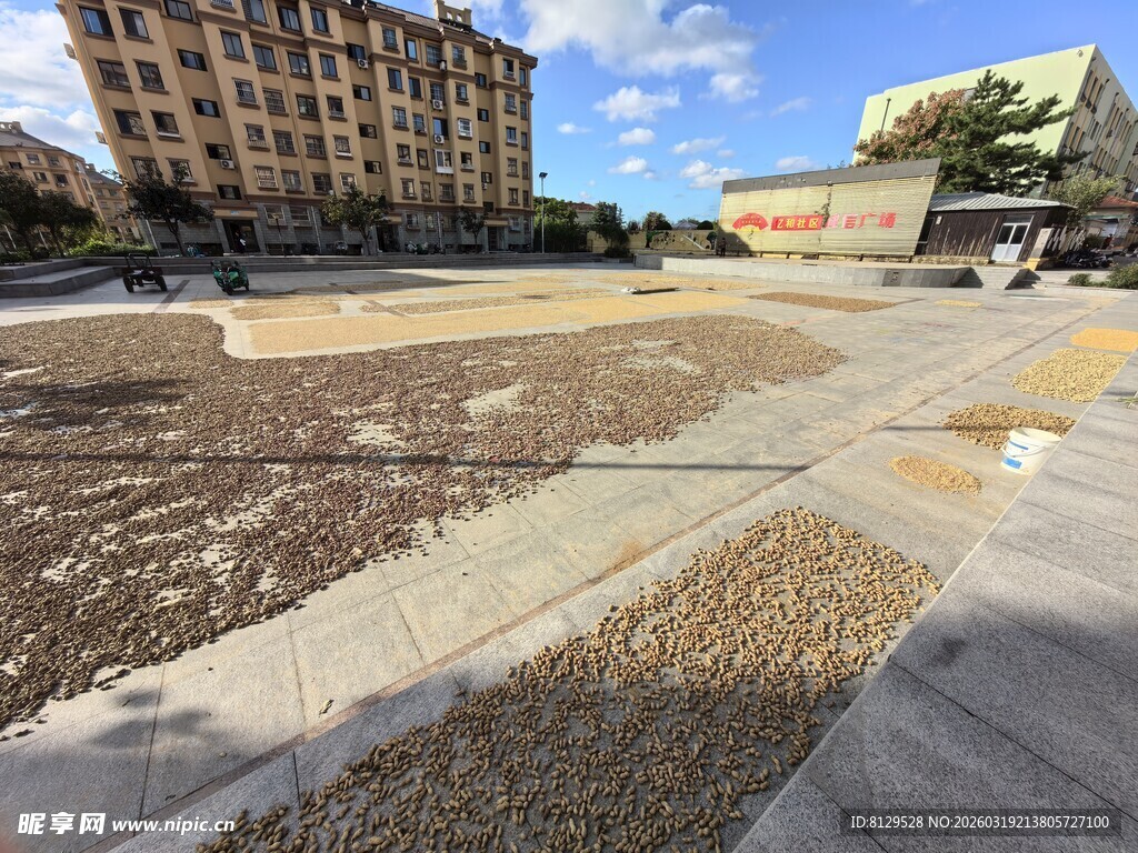 城市空旷广场待开发区域