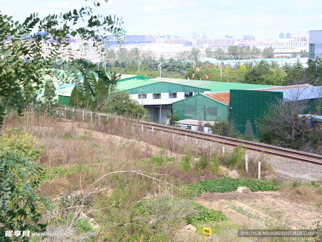 铁路旁的绿色建筑与植被