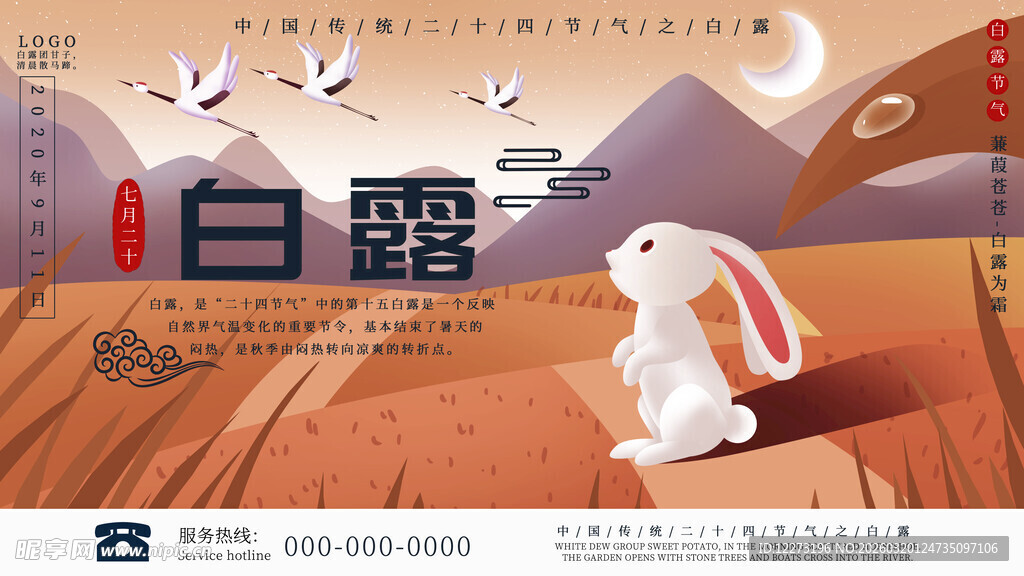 白露节气插画中的可爱白兔