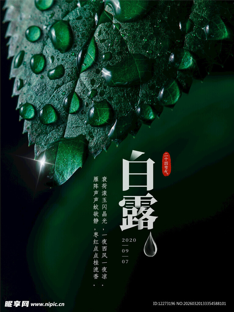 白露时节带露绿叶美景