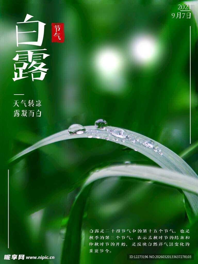 白露时节草尖露珠美景