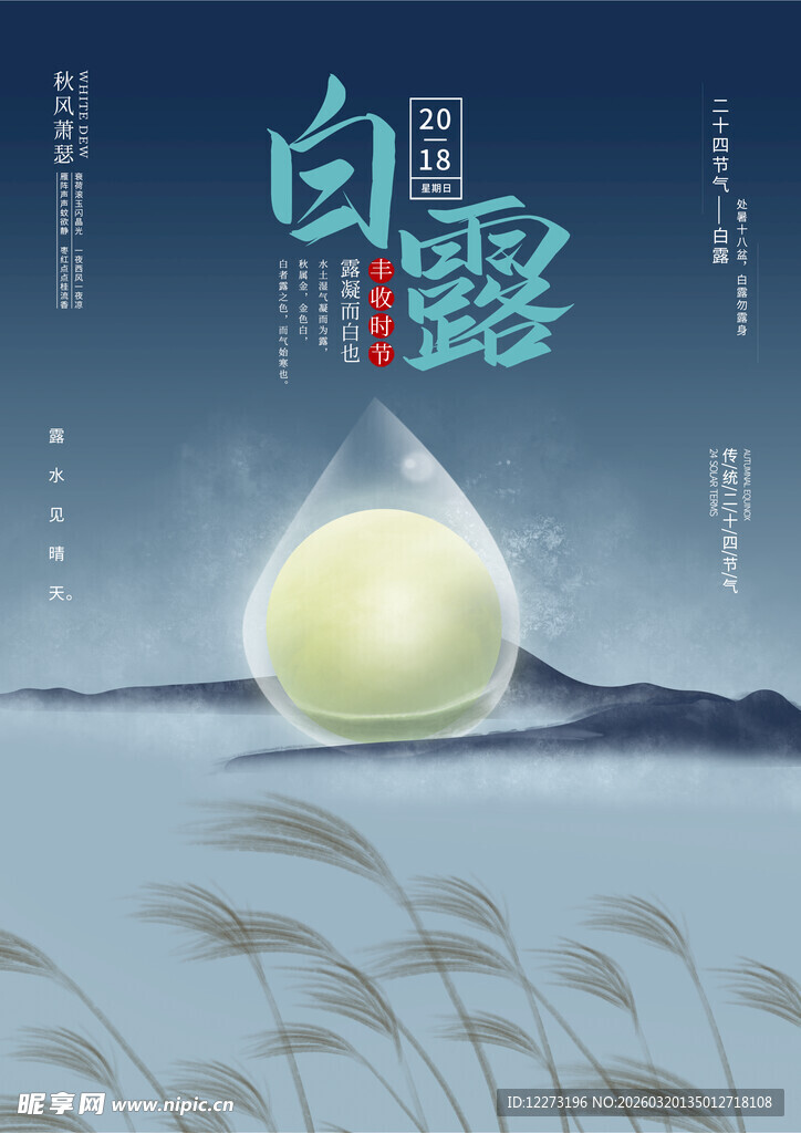 白露节气插画图