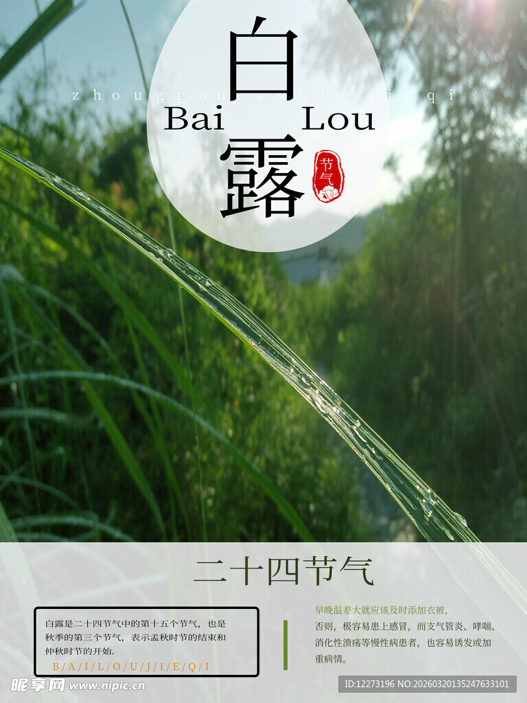 白露时节绿意盎然景象