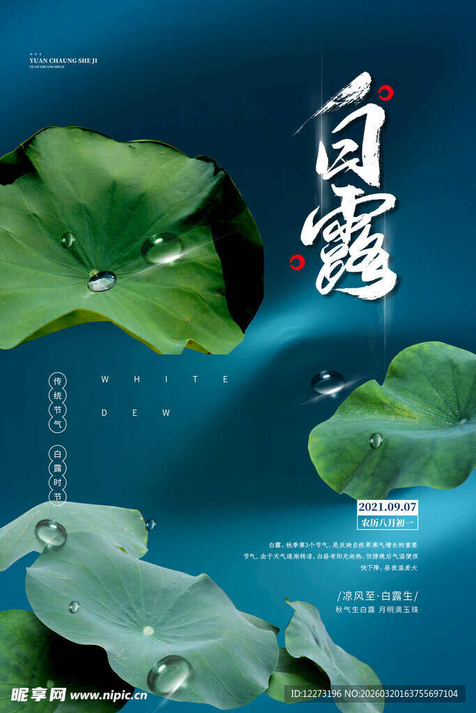 白露时节荷叶图