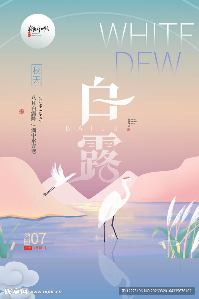 白露时节水边白鹭图