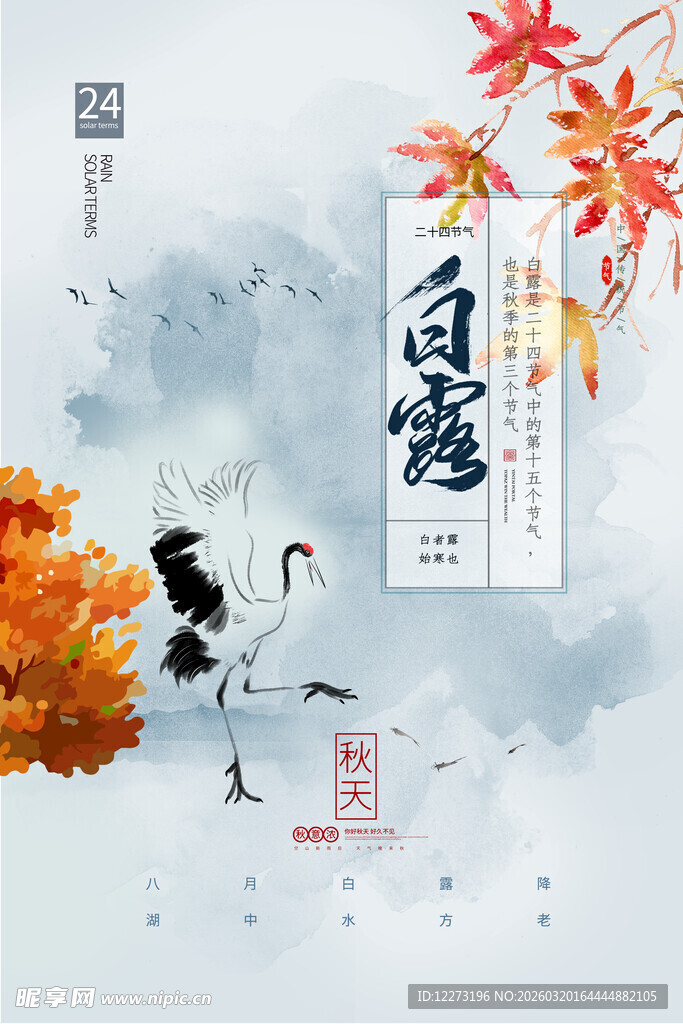 白露节气插画海报