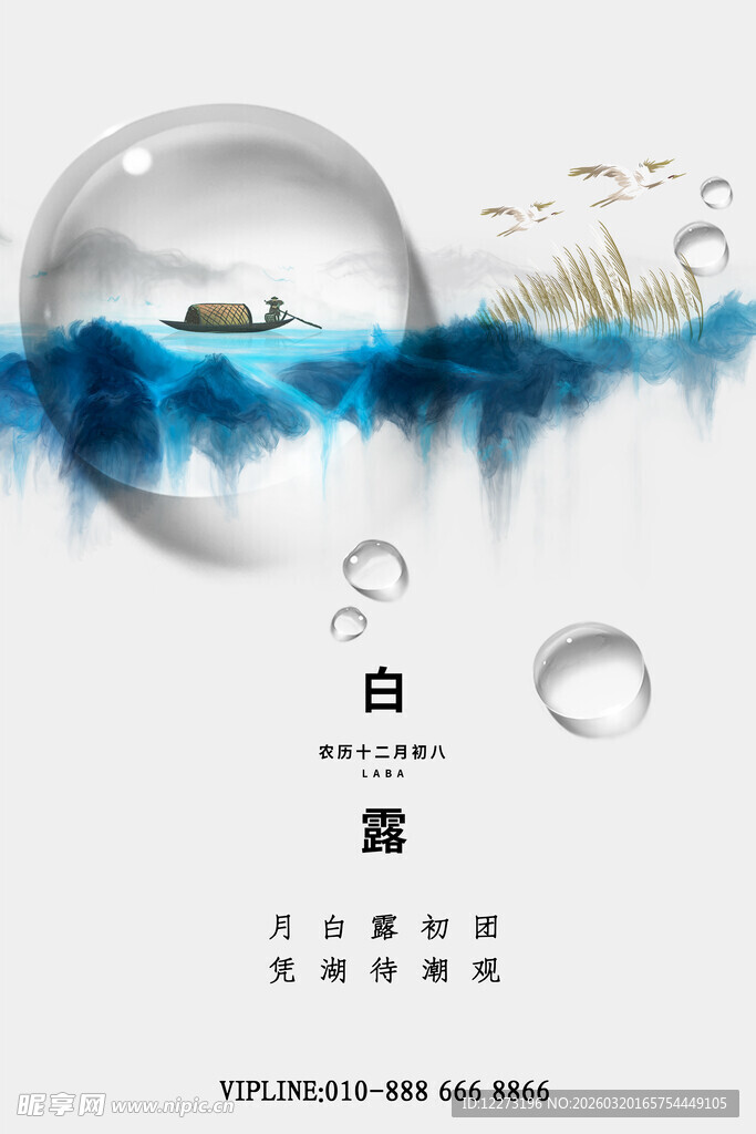 白露海报           