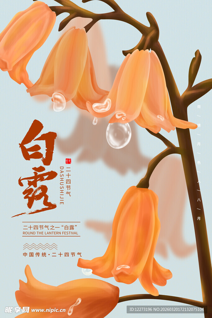 白露时节的美丽铃兰花