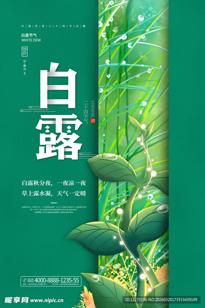 白露节气植物清新海报