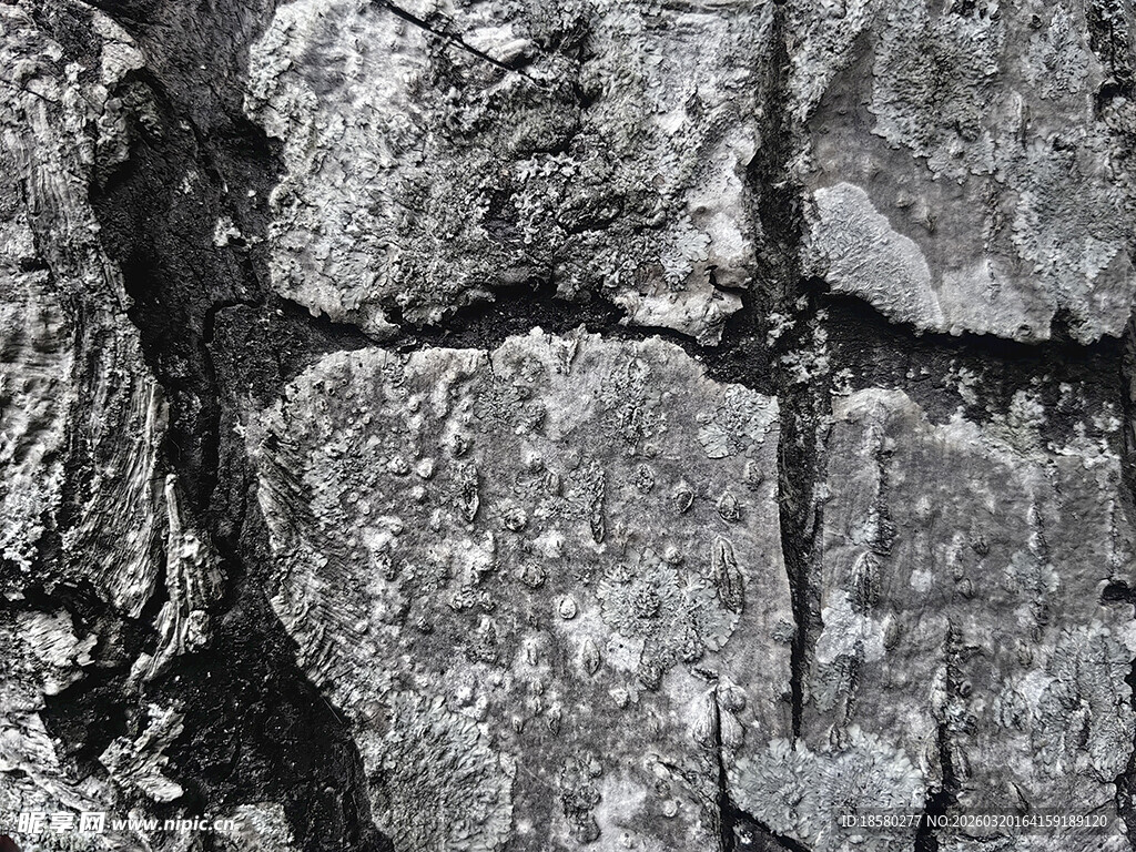 粗糙石墙纹理特写